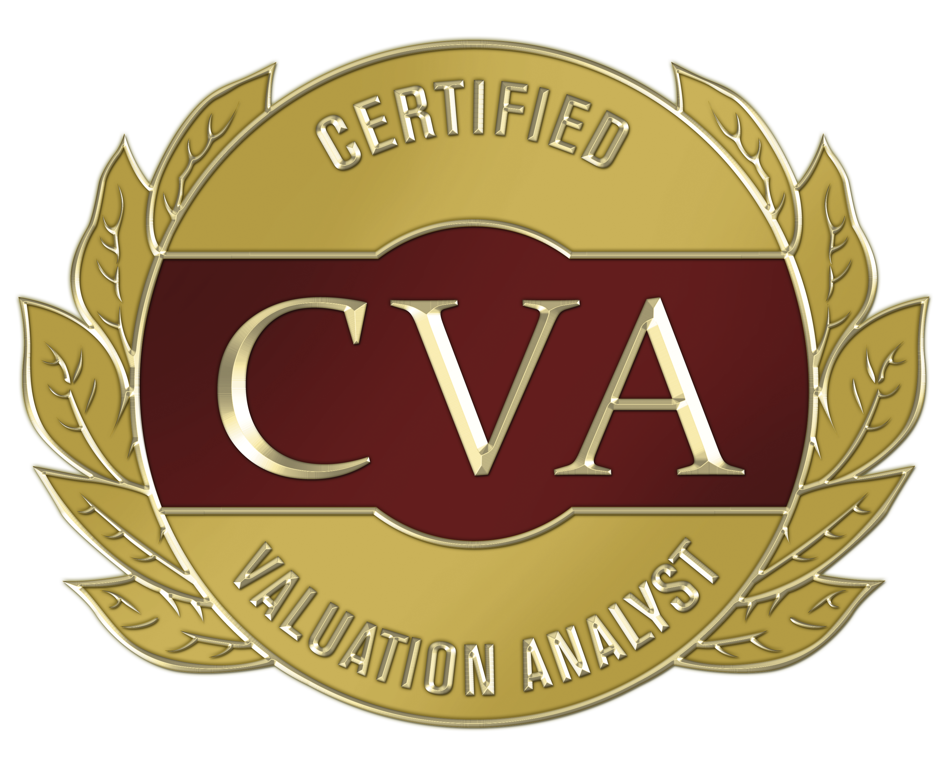 Certified Valuation Analyst (CVA)